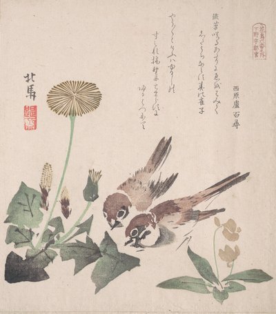 Kolekcja wiosennego deszczu Harusame shu, obj. 3: Wróble i Mlecze, ca. 1820 r., ok. 1820 r. 1820. autorstwa Hokuba