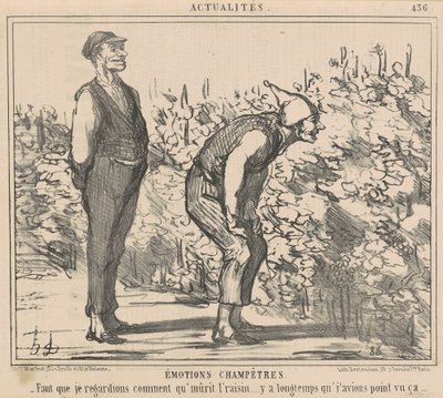 Muszę patrzeć jak winogrona dojrzewają... autorstwa Honoré Daumier