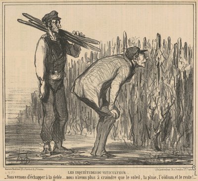 Obawy winiarza autorstwa Honoré Daumier