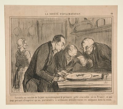 Naukowcy u szczytu radości kontemplują pierwszego małego krokodyla autorstwa Honoré Daumier