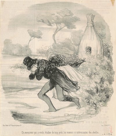 Dżentelmen, który chciał studiować… obyczaje… pszczół autorstwa Honoré Daumier