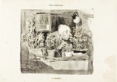 Zapach, płyta 38 z Types Parisiens autorstwa Honoré Victorin Daumier