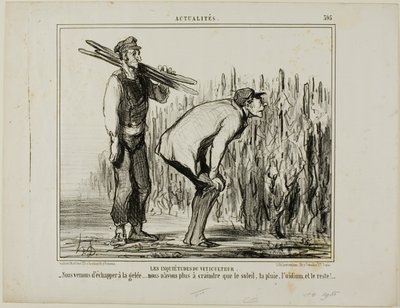 Zmartwienia plantatora winorośli. "- Uciekliśmy przed mrozem....., teraz musimy martwić się tylko słońcem, deszczem, pleśnią winorośli i całą resztą...", płyta 397 z Actualités autorstwa Honoré Victorin Daumier