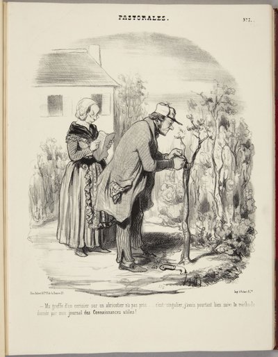Mój szczep wiśni na moreli nie przyjął się... autorstwa Honoré Daumier