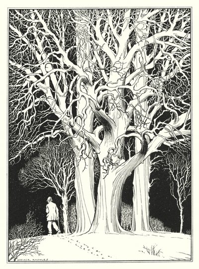 Grudzień (litografia) autorstwa Horace J. Knowles