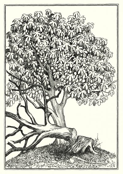 Ilustracja do Kazania na górze (grawerunek) autorstwa Horace J. Knowles