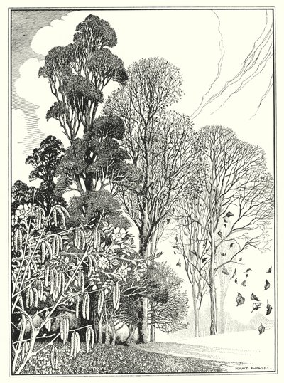 Miesiące (litografia) autorstwa Horace J. Knowles