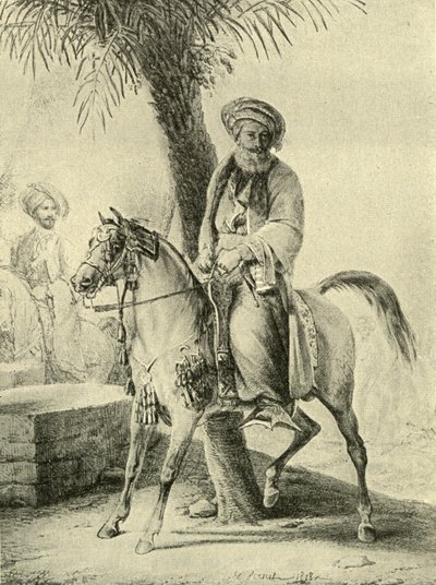 Muhammad Ali z Egiptu - autorstwa Emile Jean Horace Vernet