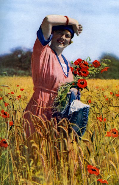 Róża angielska, ok. 1922 r. autorstwa Horace Walter Nicholls