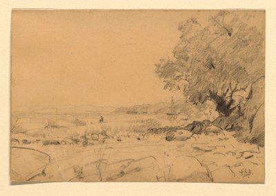Nieuprawny. Krajobraz. autorstwa Howard Russell Butler