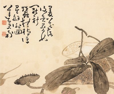 Malowany liść albumu - Roślina lotosu, XVIII wiek autorstwa Huang Shen
