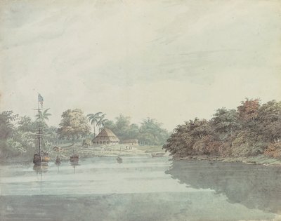 Papużka falista gubernatora generalnego nad Gangesem, Delta Brahmaputry autorstwa Hubert Cornish
