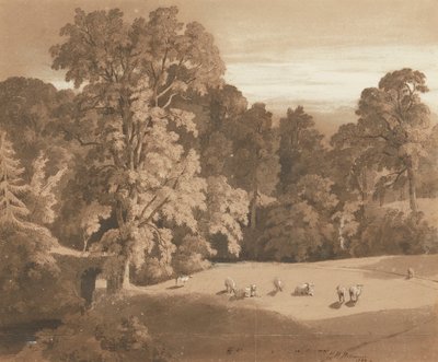 Parkland w Minto House (pióro i tusz i pranie) autorstwa Hugh William Williams