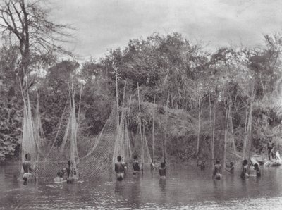 Afryka: Morus Fishing (zdjęcie czarno-białe) autorstwa Hugo Adolf Bernatzik