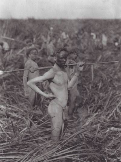 Afryka: Wojownicy Nuerów na bagnach (zdjęcie czarno-białe) autorstwa Hugo Adolf Bernatzik