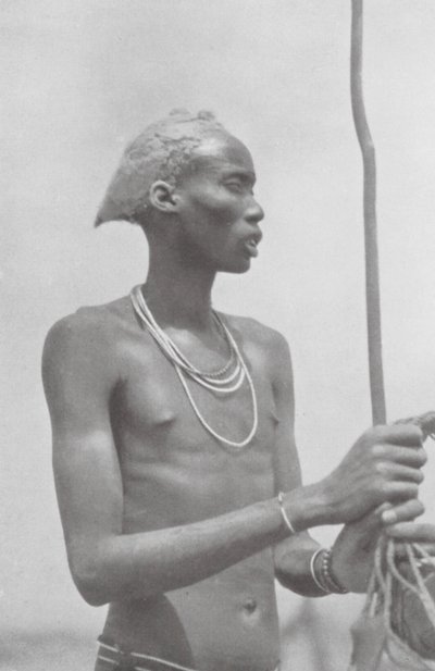 Dinka-Neger (zdjęcie czarno-białe) autorstwa Hugo Adolf Bernatzik