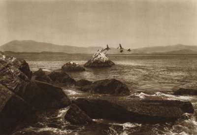 Meksyk: Wybrzeże Manzanillo, Pelicanos, stan Colima (zdjęcie czarno-białe) autorstwa Hugo Brehme