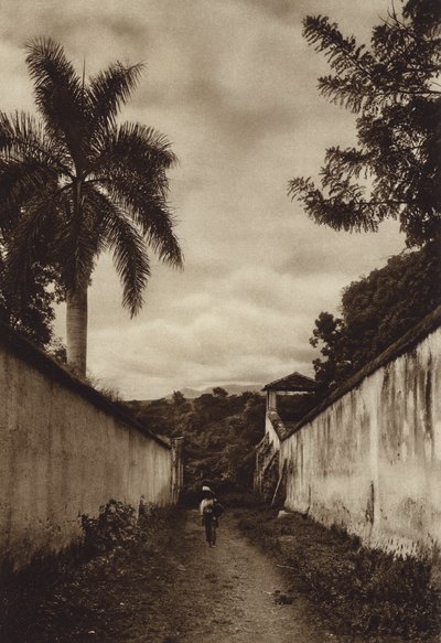 Meksyk: Cuernavaca, ulica prowadząca do wioski San Antonio (zdjęcie czarno-białe) autorstwa Hugo Brehme
