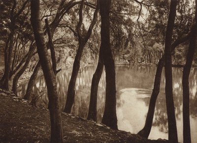 Meksyk: Las fuentes de Tlalpam D F (zdjęcie czarno-białe) autorstwa Hugo Brehme