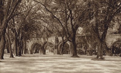 Meksyk: Morelia, stary wodociąg (zdjęcie czarno-białe) autorstwa Hugo Brehme
