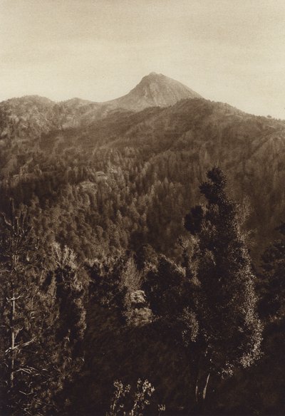 Meksyk: Nevado de Colima, widok częściowy (zdjęcie czarno-białe) autorstwa Hugo Brehme