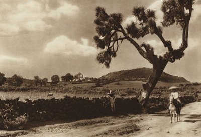 Meksyk: Patzcuaro, El Calvario, stan Michoacan (zdjęcie czarno-białe) autorstwa Hugo Brehme