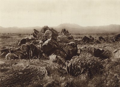 Meksyk: Pedregal, Corriente de basalto-lava w pobliżu San Angel (zdjęcie czarno-białe) autorstwa Hugo Brehme