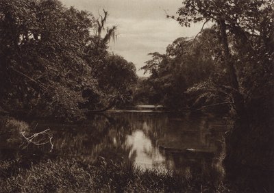 Meksyk: Tamasopo, Panorama del rio, stan Vera Cruz (zdjęcie czarno-białe) autorstwa Hugo Brehme