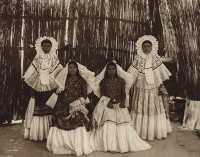 Meksyk: Tehuantepec, dziewczyna w stroju narodowym (zdjęcie czarno-białe) autorstwa Hugo Brehme