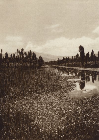 Meksyk: Xochimilco, jeden z głównych kanałów (zdjęcie czarno-białe) autorstwa Hugo Brehme