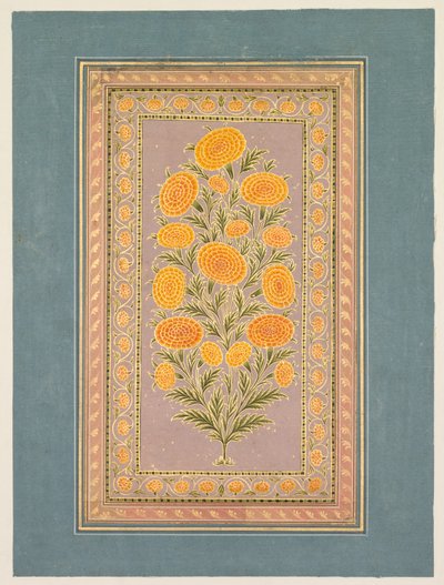 Kwitnąca nagietek, ok. 1765. autorstwa Hunhar II