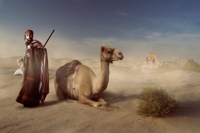 Podróżnik po Pustyni Arabskiej autorstwa Hussain Buhligaha