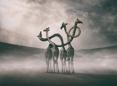 Surrealistyczne szyje żyraf autorstwa Hussain Buhligaha