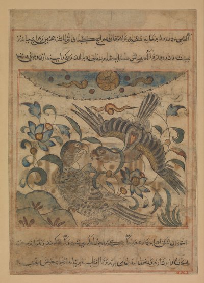 Para orłów, Folio z Manafi