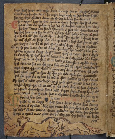 Walka konna, z Heynesbok (Księga Heynesa), I poł. XVI w. autorstwa Icelandic School