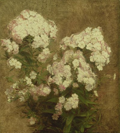 Phlox, 1870 autorstwa Ignace Henri Jean Fantin Latour