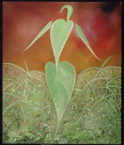 Konopie, 2008 autorstwa Ikahl Beckford