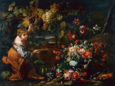 Młoda dziewczyna zbierająca winogrona (olej na płótnie) autorstwa Il and Brueghel Abraham Borgognone