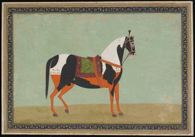 Koń, Album folio, XIX w. (nieprzezroczysta akwarela i złoto na papierze) autorstwa Indian School