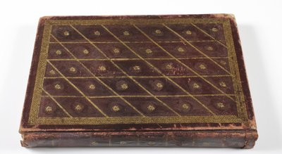 Album z genealogią dynastyczną Mogołów, 1855 (skóra ze złotym detalem) autorstwa Indian School