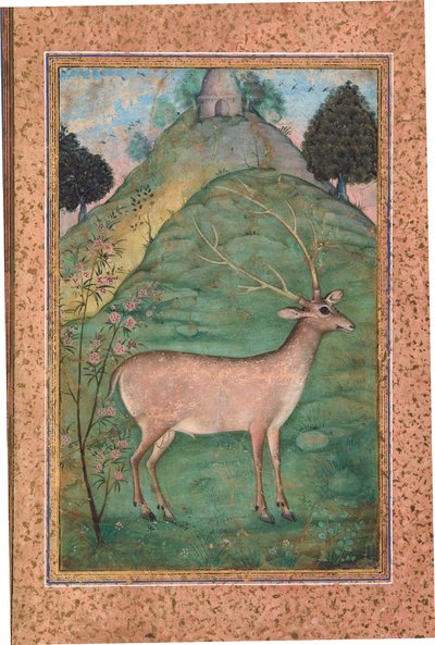 Buck w krajobrazie, ok. 1595 (nieprzezroczysta toaleta i złoto na papierze) autorstwa Indian School