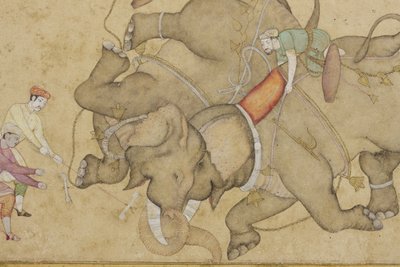 Detal z walki słoni, z obramowaną kwiecistą arabeską, ok. 1610 (nieprzezroczyste wc i złoto na papierze) autorstwa Indian School
