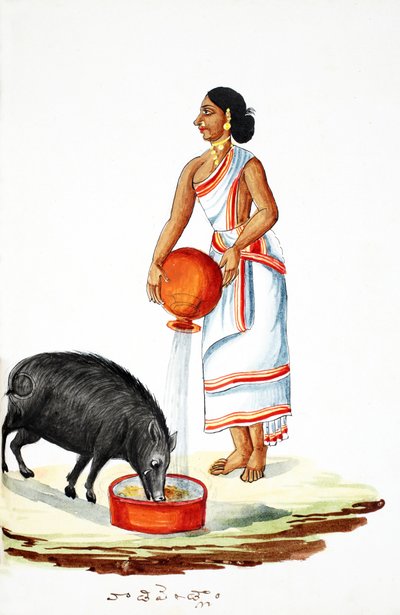 Karmienie dzikiej świni (wc na papierze) autorstwa Indian School