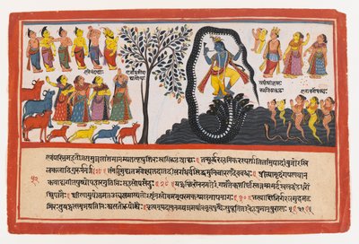 Krishna Conquers the Serpent Kaliya, strona z rozproszonej serii Bhagavata Purana, ok. 1775 (nieprzezroczysta toaleta i złoto na papierze) autorstwa Indian School