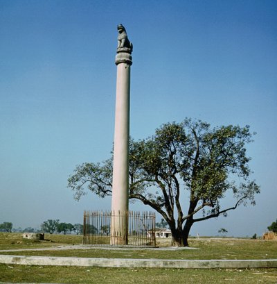 Słup lwa cesarza Aśoki (ok. 264-223 p.n.e.) autorstwa Indian School