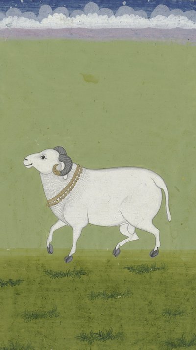 Baran ze złotym kołnierzem, 1700-1799 autorstwa Indian School