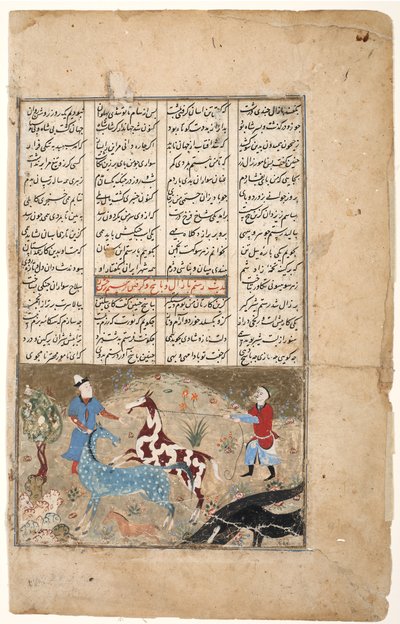 Rustam łapie konia Rakhsh, ok. 1480 (nieprzezroczysta toaleta i złoto na papierze) autorstwa Indian School