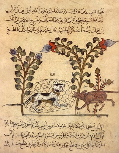 Kot i szczur, arabska miniatura z "Kalila va dimna" autorstwa Indian School