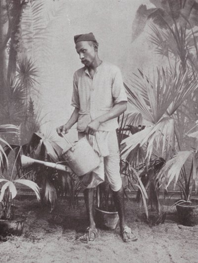 Bombaj: ogrodnik (zdjęcie czarno-białe) autorstwa Indian photographer