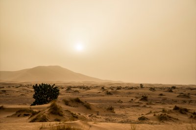 Wydmy na pustyni Erg Chebbi w południowo-wschodnim Maroku, 2014 r. (zdjęcie ilustracyjne) autorstwa Ira Block
